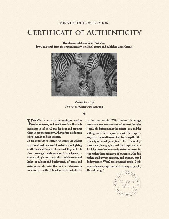 "Zebra family" by Viet Chu Photography-Artography Limited