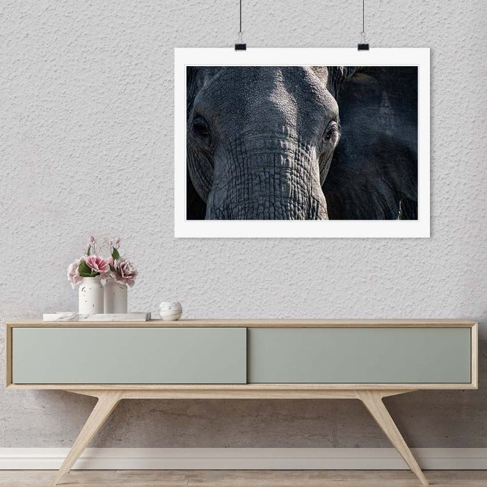 "Elephant Close-up" by Viet Chu Photography-Artography Limited