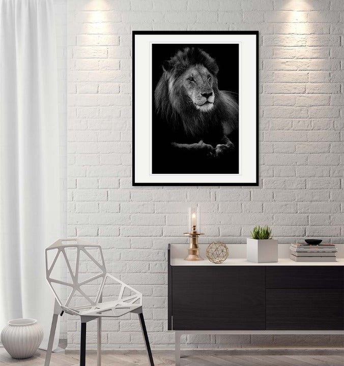 "Profile of a King" by Viet Chu Photography-Artography Limited