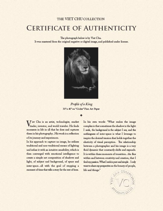 "Profile of a King" by Viet Chu Photography-Artography Limited