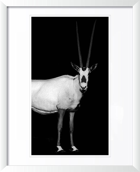 "The Rolling Stones, 1989"