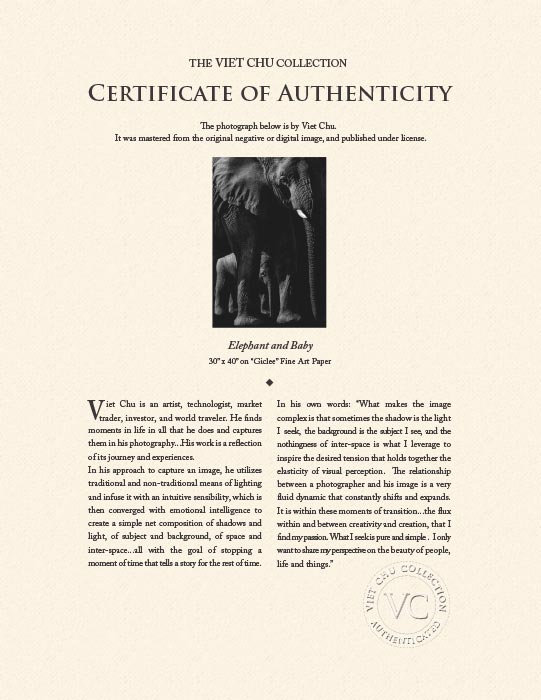 "Elephant and Baby" by Viet Chu Photography-Artography Limited