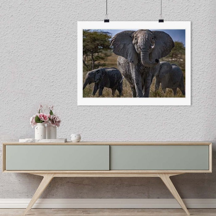 "Elephant Stands" by Viet Chu Photography-Artography Limited