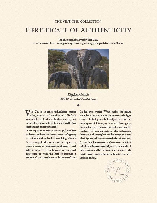"Elephant Stands" by Viet Chu Photography-Artography Limited