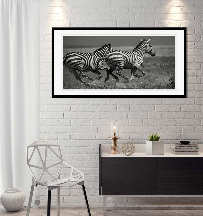 "Galloping Zebras" by Viet Chu Photography-Artography Limited