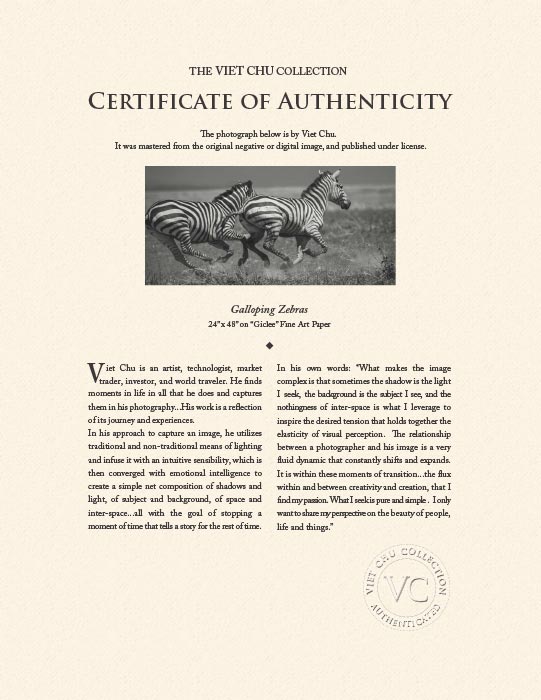"Galloping Zebras" by Viet Chu Photography-Artography Limited
