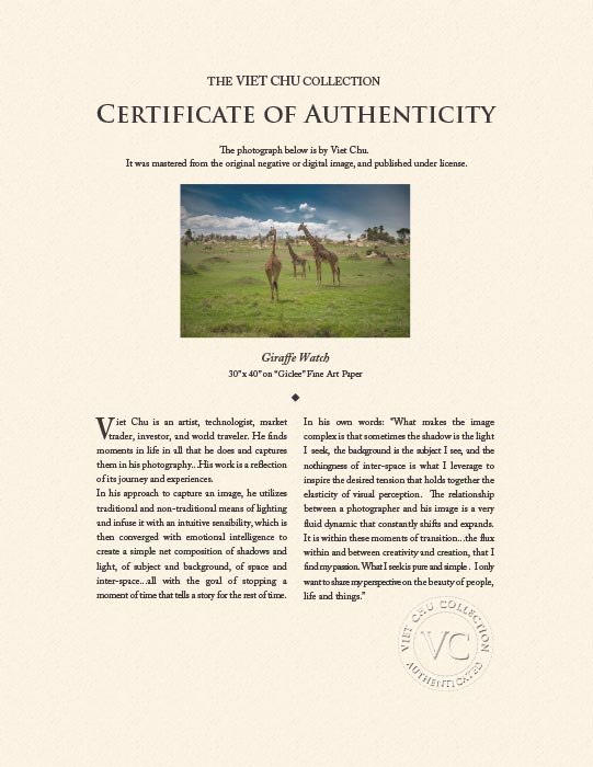 "Giraffe Watch" by Viet Chu Photography-Artography Limited