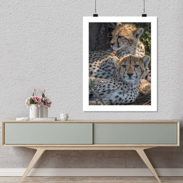 "Cheetah Siblings" by Viet Chu Photography-Artography Limited