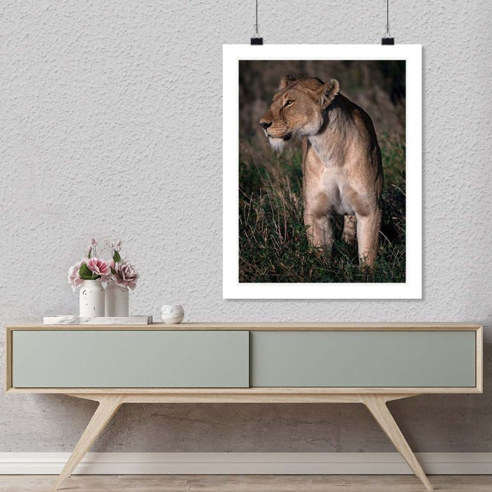 "Regal Lioness" by Viet Chu Photography-Artography Limited