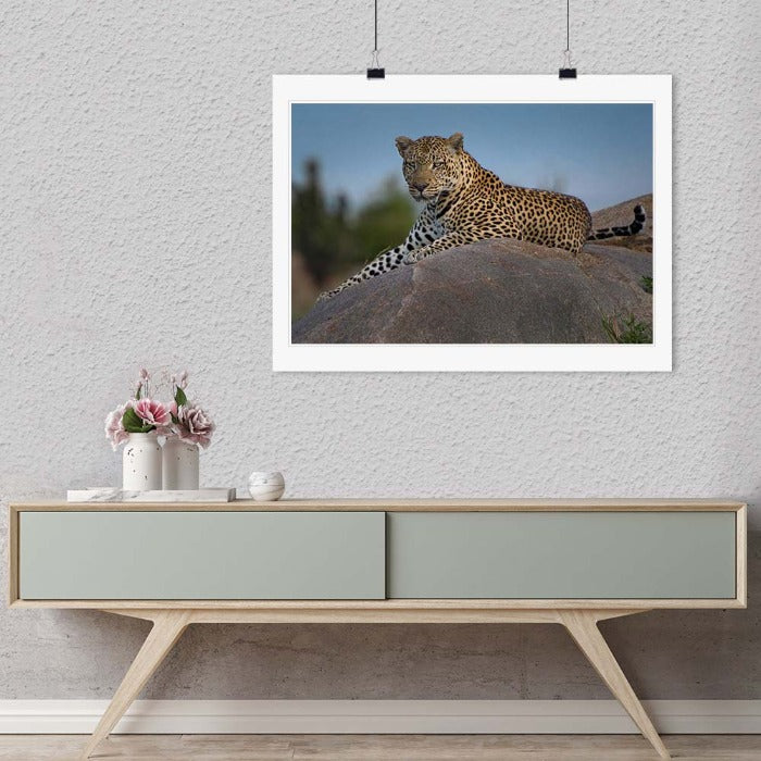 "The Leopard Throne" by Viet Chu Photography-Artography Limited