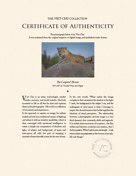 "The Leopard Throne" by Viet Chu Photography-Artography Limited